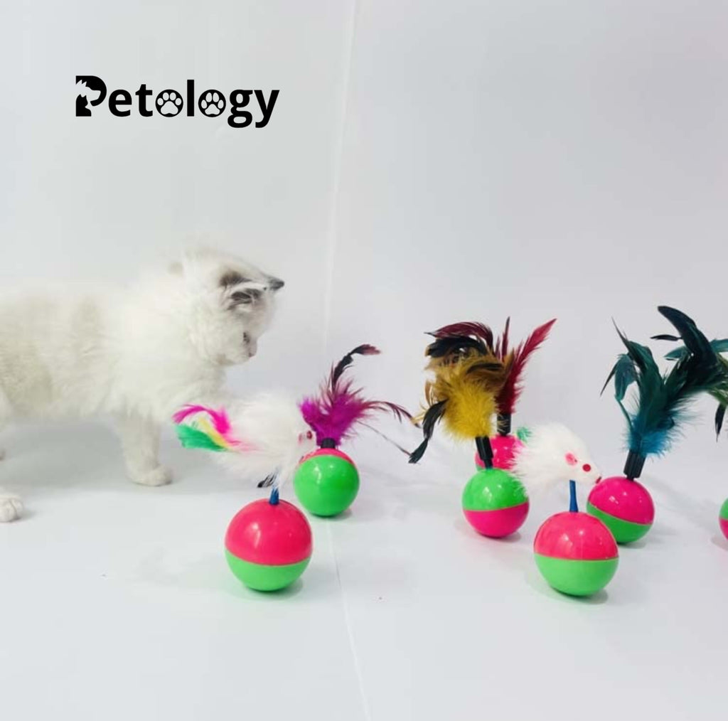MEOW MEOW Feather Tumbler Cat Ball Toy, Whirl Cats Ball Tumbler, Interactive Feathers Pet Toys, Kitten Training Ball, Colourful Cat Feather for Cats, Kittens - 1 PC (Color May Vary)