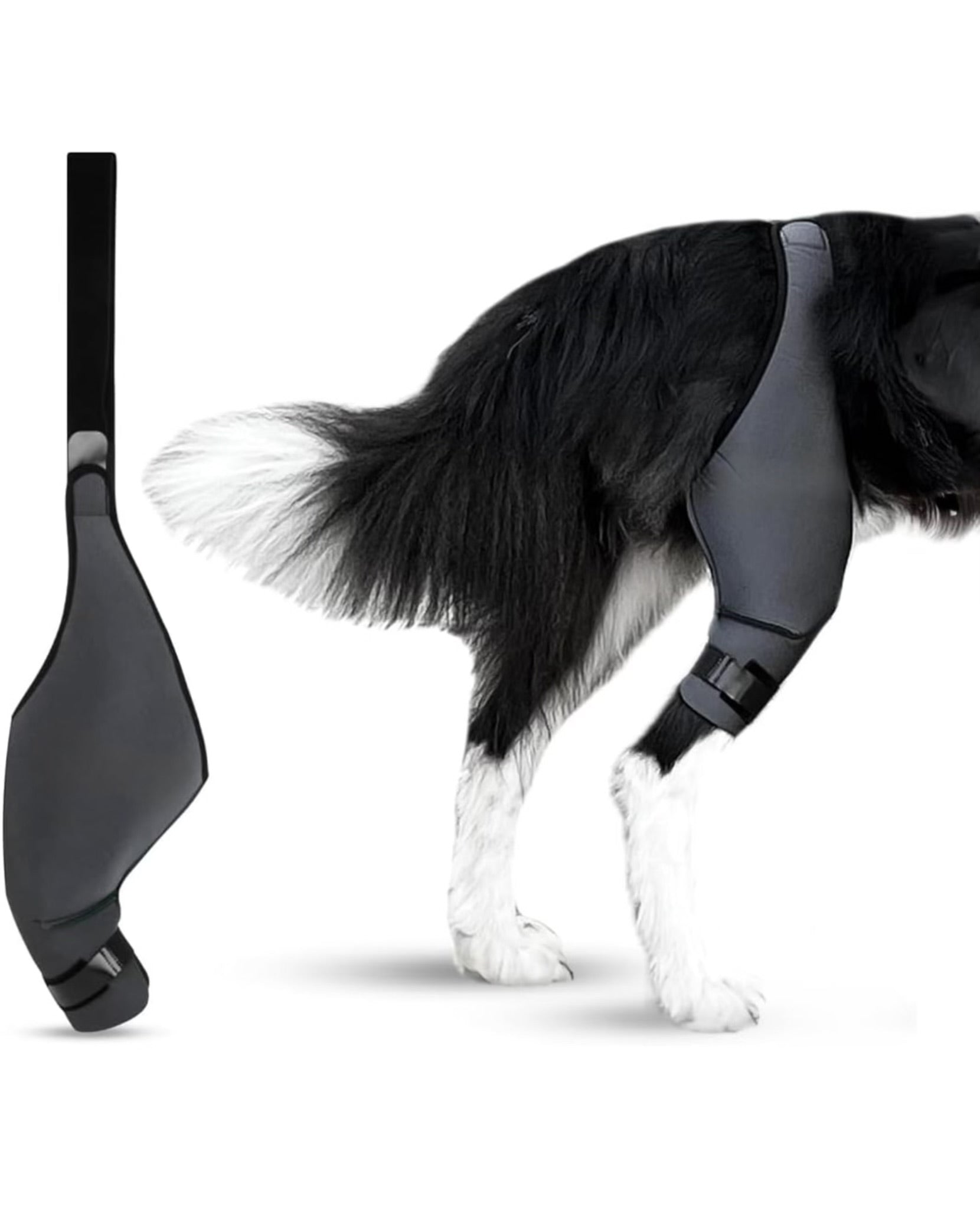 Petability Knee Brace for Dogs with Side Stabilizers, Knee Cap Dislocation, post operative , Arthritis - Keeps The Joint Warm and Stable - Extra Support - Reduces Pain and Inflammation (Suitable medium,Large & Extra-Large Breeds) 1 piece