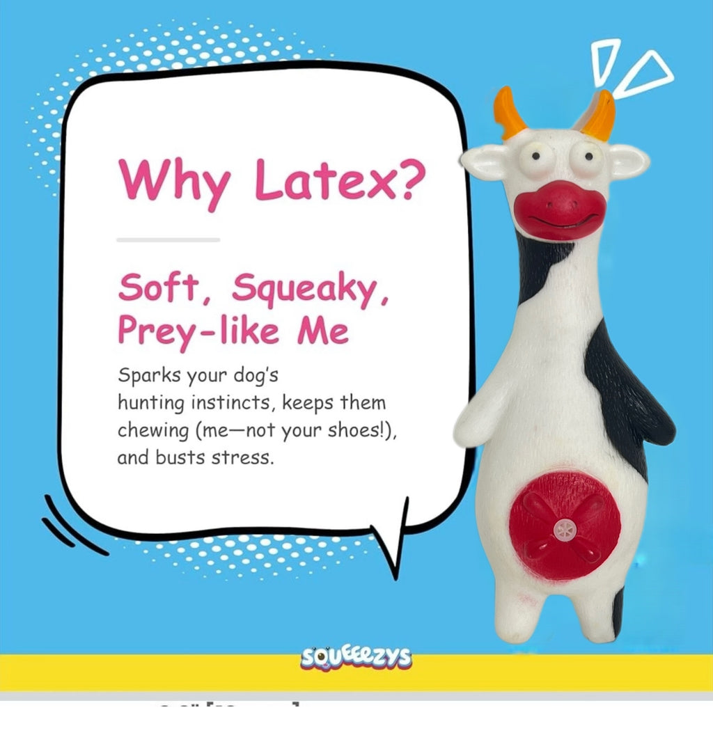 Premium Holy Cow Squeaky Dog Toy, Durable Latex 100% lead Free( made in UK ) Rubber Chew Toy for Small, Medium & Large Dogs Interactive,Teeth Cleaning, Indoor Outdoor Pet Play( suitable for all age dogs)