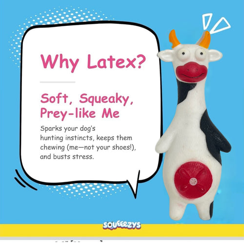 Premium Holy Cow Squeaky Dog Toy, Durable Latex 100% lead Free( made in UK ) Rubber Chew Toy for Small, Medium & Large Dogs Interactive,Teeth Cleaning, Indoor Outdoor Pet Play( suitable for all age dogs)