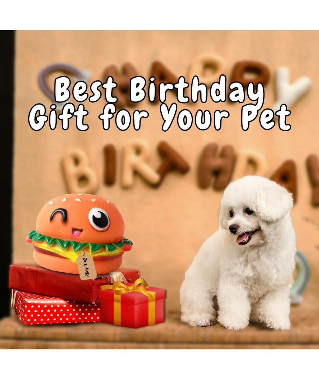 Playpets 100% Latex Burger Squeaky Durable & Interactive Chew Toy for Dogs & Cats ,Fun Squeaker , Solo Play all size Breeds , Dental Health