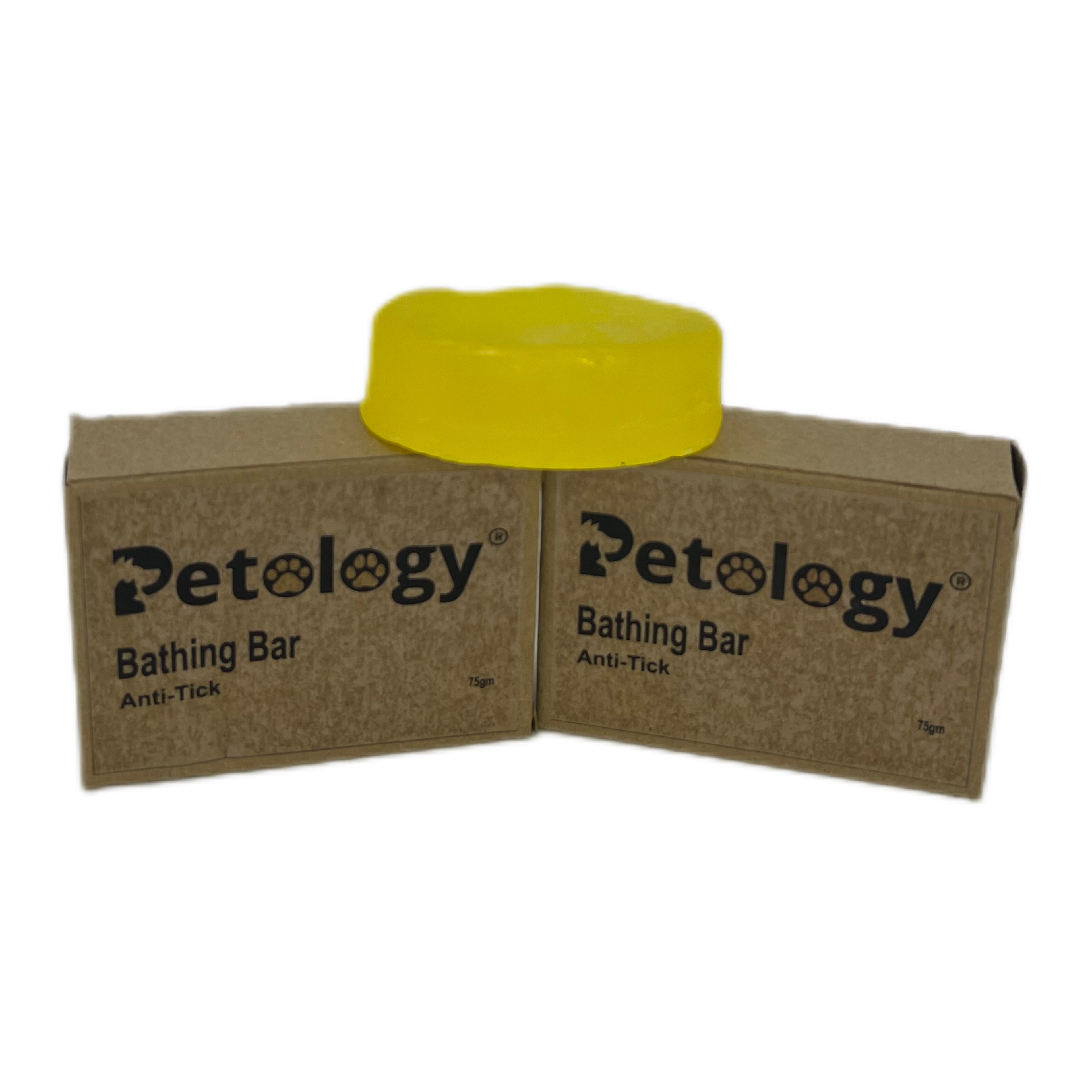 Waterless Cleansing & No Rinse Dry Shampoo for Dogs -300 mL Quick & Easy Dog Dry Shampoo No-Rinse, Skin-Friendly Deodorizing Formula