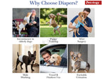 Petability Dogs Disposable Diapers for Dog -10Pcs Diaper Pants Nappy Leak-Proof, Ultra-Absorbent Daily and Travelling Purpose size available small,medium,Large & Xtra-Large