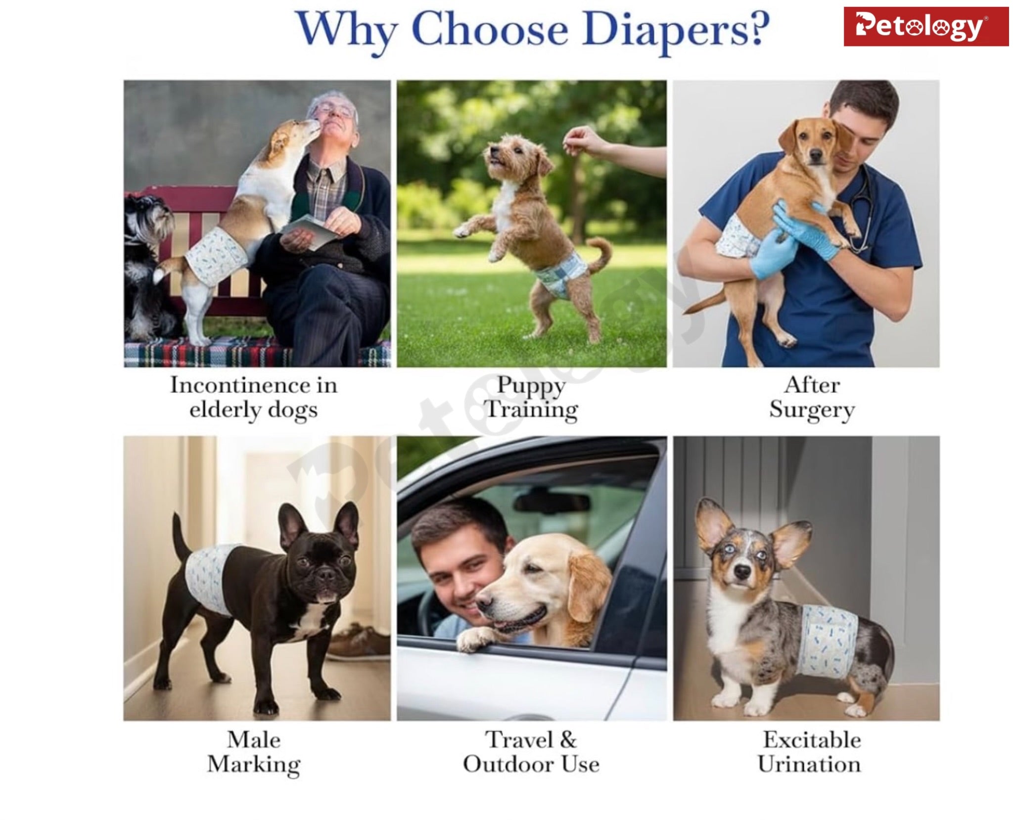 Petability Dogs Disposable Diapers for Dog -10Pcs Diaper Pants Nappy Leak-Proof, Ultra-Absorbent Daily and Travelling Purpose size available small,medium,Large & Xtra-Large