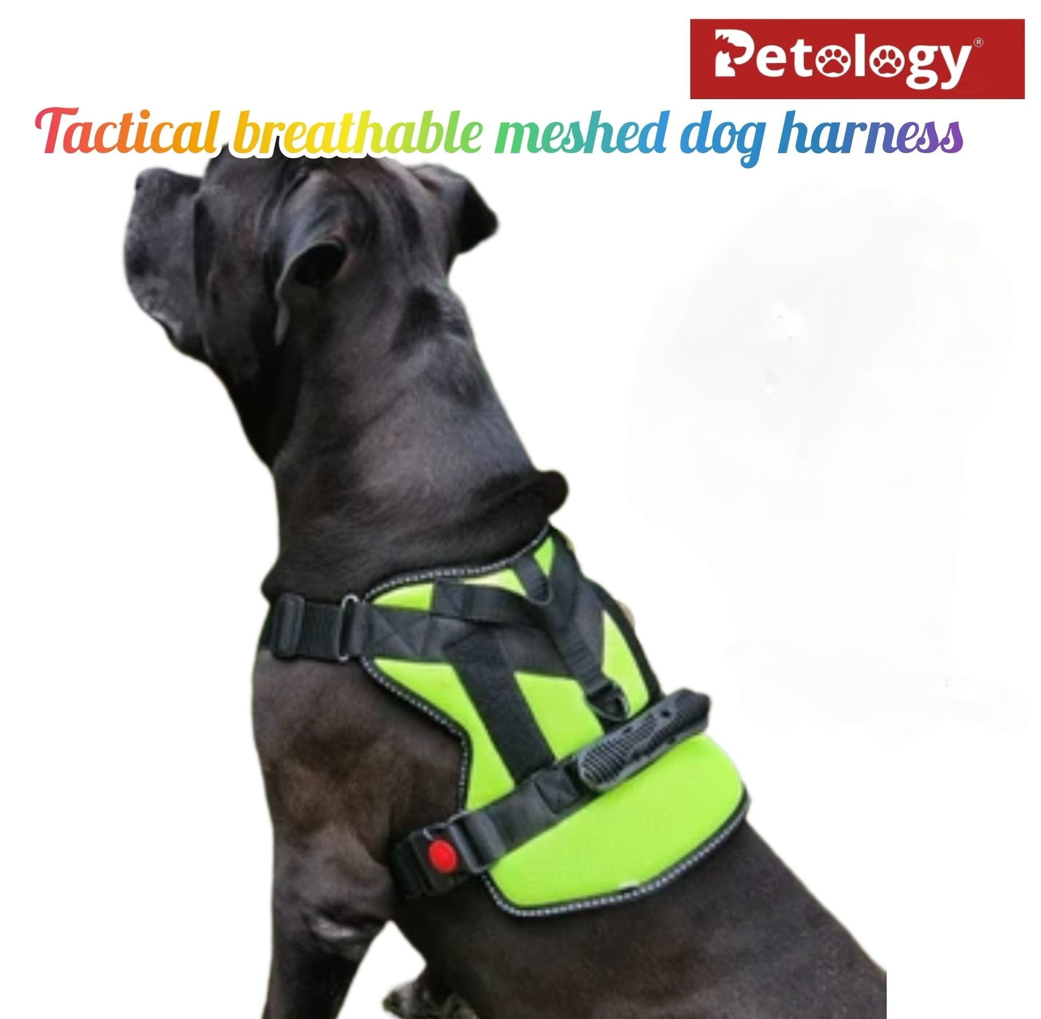 Petology Premium Breathable Durable Vest Set Harness for Dogs is designed to elevate your dog’s comfort Reflective feature safety gives confidence in low light free roaming (colors vary,15mm rope leash))