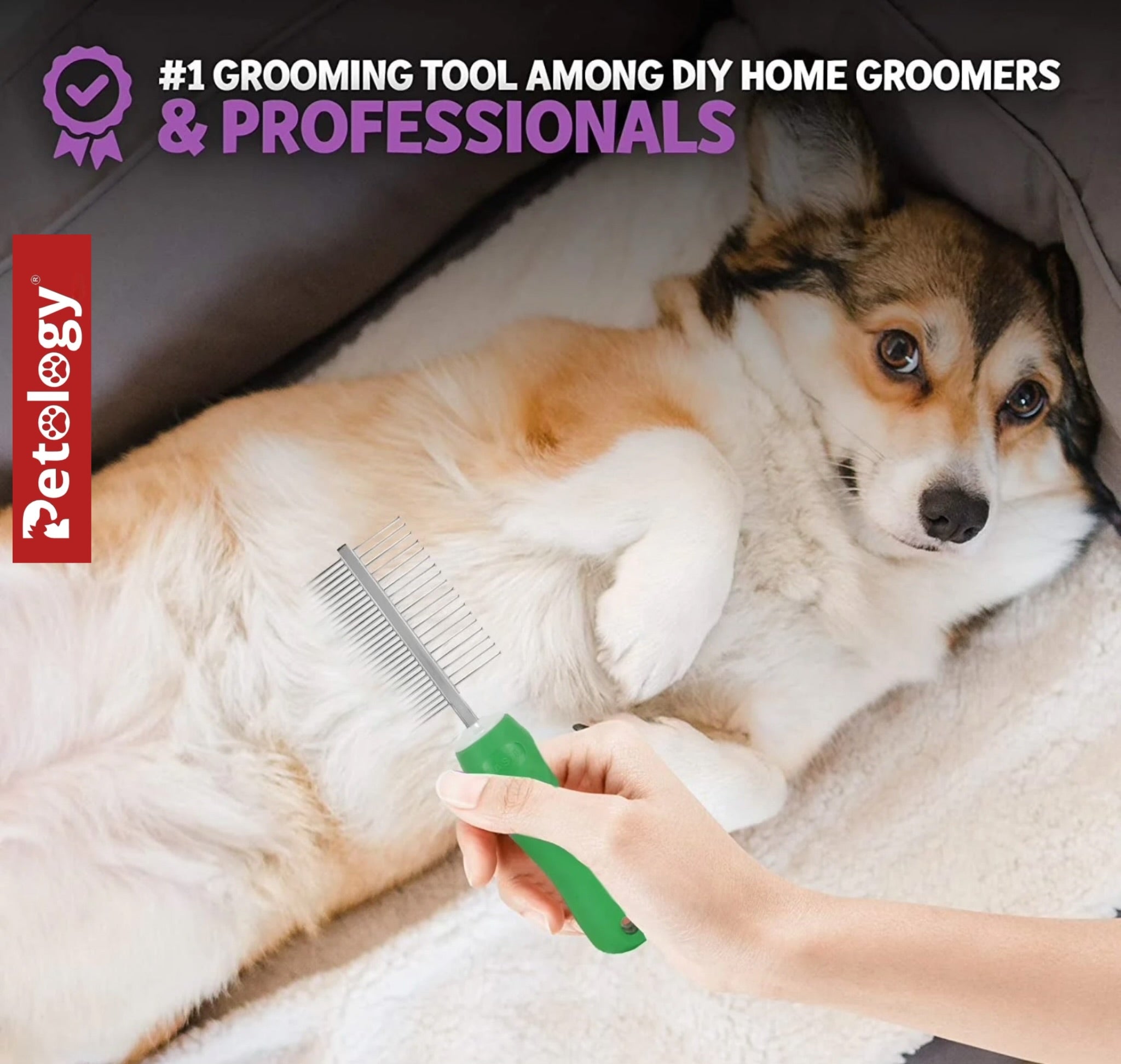 HiHygeine Puppies Double Side Steel Needles Comb for Dogs and Cats - (Paw Print) Grooming Rake Shedding for Dogs, Cats - Best Cleaning for all Pets (Color May Vary)