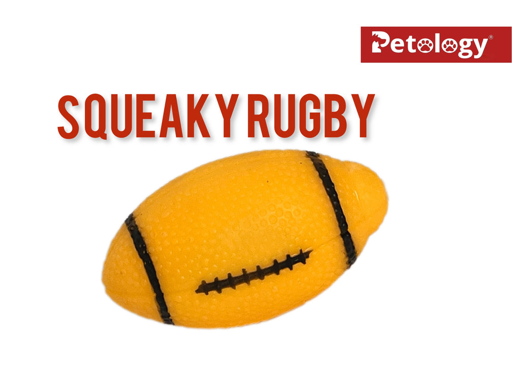 Petology 3-in-1 Combo pet friendly Latex Dog Squeaky Toys-Paw Ball- Rugby ball-Donut-Chew bone-Medium- Small Dogs & Puppies ,Dog Chew Toy for Teething, Chewing, Training Playing