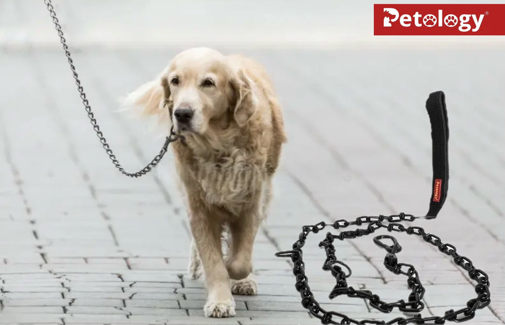 Bow-Bow 100% plush stylish- eye-Catcher Dog Chains suitable for 25 Kg and above Dog Stainless steel dog chains, special heated powder coated non-wielded 100% no rusting chromed base chain suitable for Large and xtra Large breed ( 25 kg-50 Kg+)