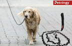 Bow-Bow 100% plush stylish- eye-Catcher Dog Chains suitable for 25 Kg and above Dog Stainless steel dog chains, special heated powder coated non-wielded 100% no rusting chromed base chain suitable for Large and xtra Large breed ( 25 kg-50 Kg+)