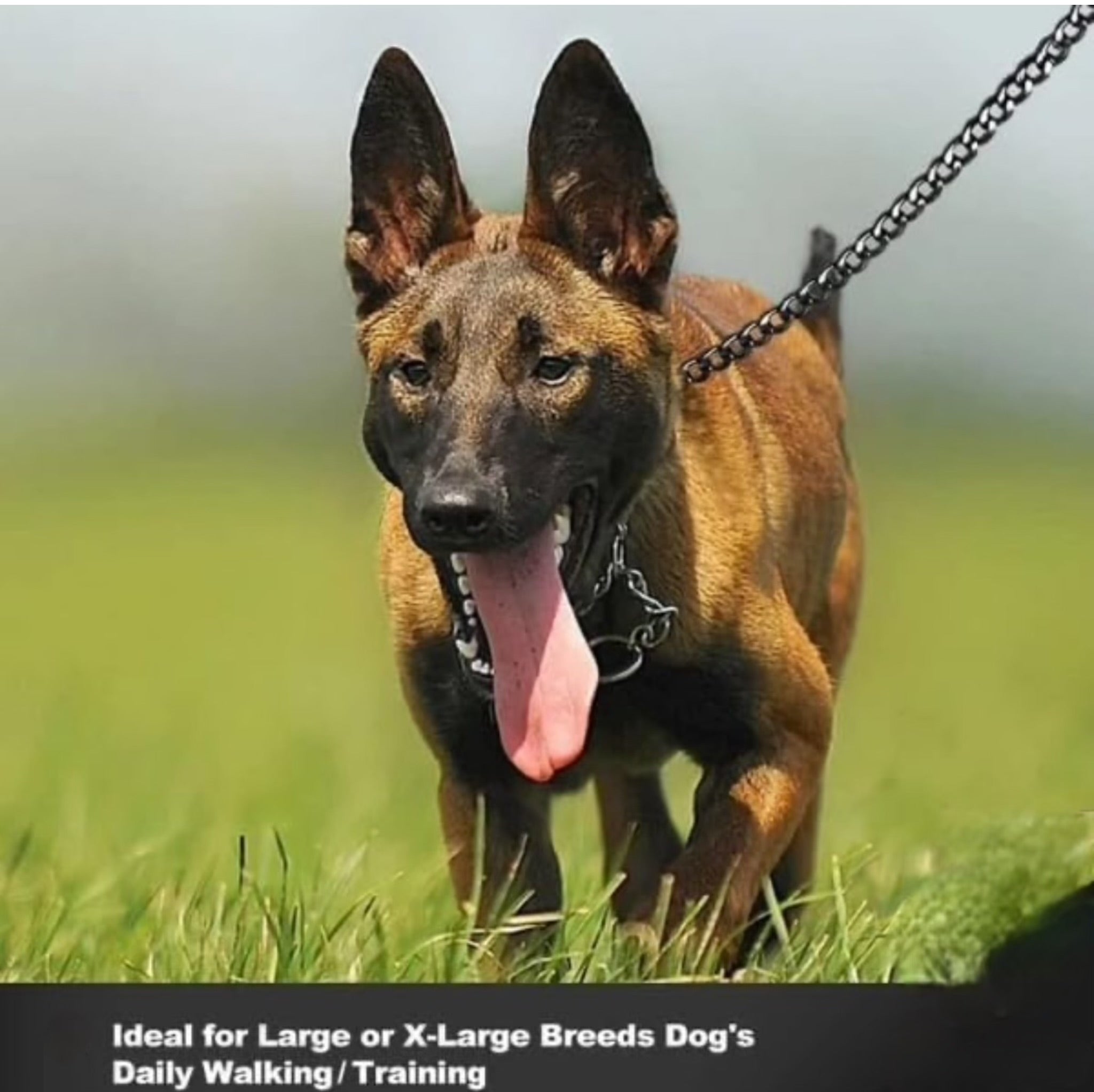 Diamond cut Superior quality plated Dog chain diamond cut Cuban design long lasting,solid metal 425 gms & 440 cms.(8 no.)