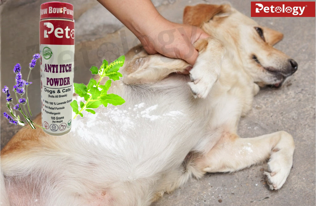 Bow Bow 100% itch relief Lavender extract powder & Neem extract for Dogs to relief of Itchiness of dogs and Cats smoothens skin,moisturises patchy skin in weeks.