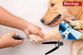 Person trimming a dog's paw with pet nail clippers, Petology brand visible.