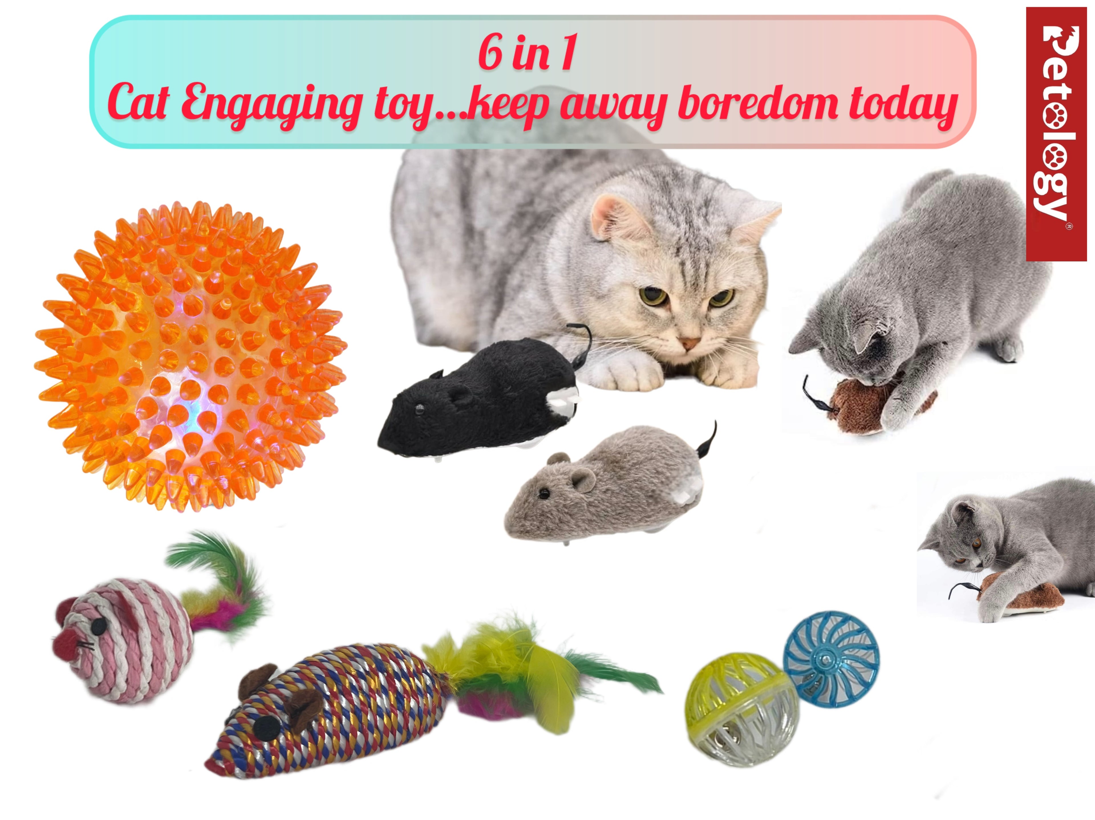 6-in-1 Cat Toy Combo Keep Your Cat Happy Active and Entertained Ultimate Playtime Bundle for Curious Cats