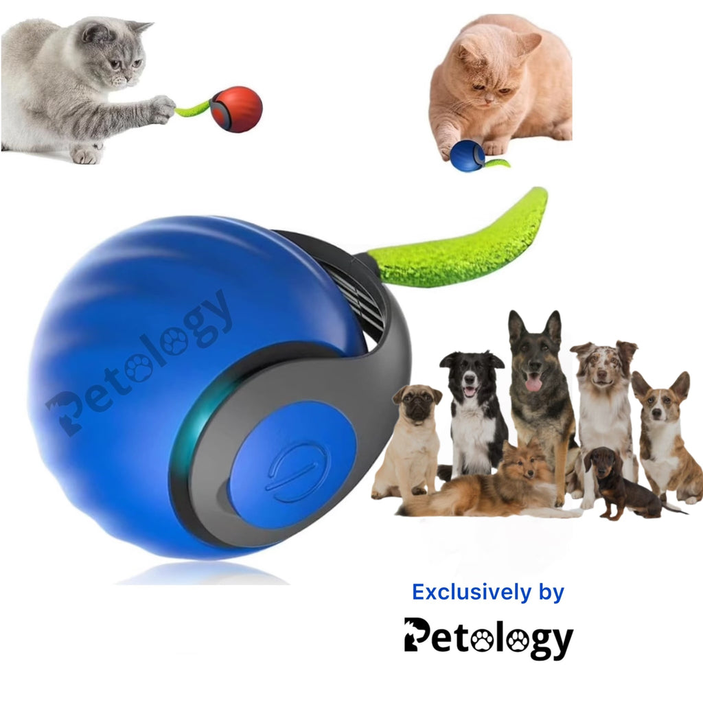 Playpets Exclusive Latest Interactive Toy Ball with touch Motion Activated Dog & Cat Toy, Smart Ball with "C" TYPE Charging, heavy Rotating Roller, Two Speed (All Breed Type)