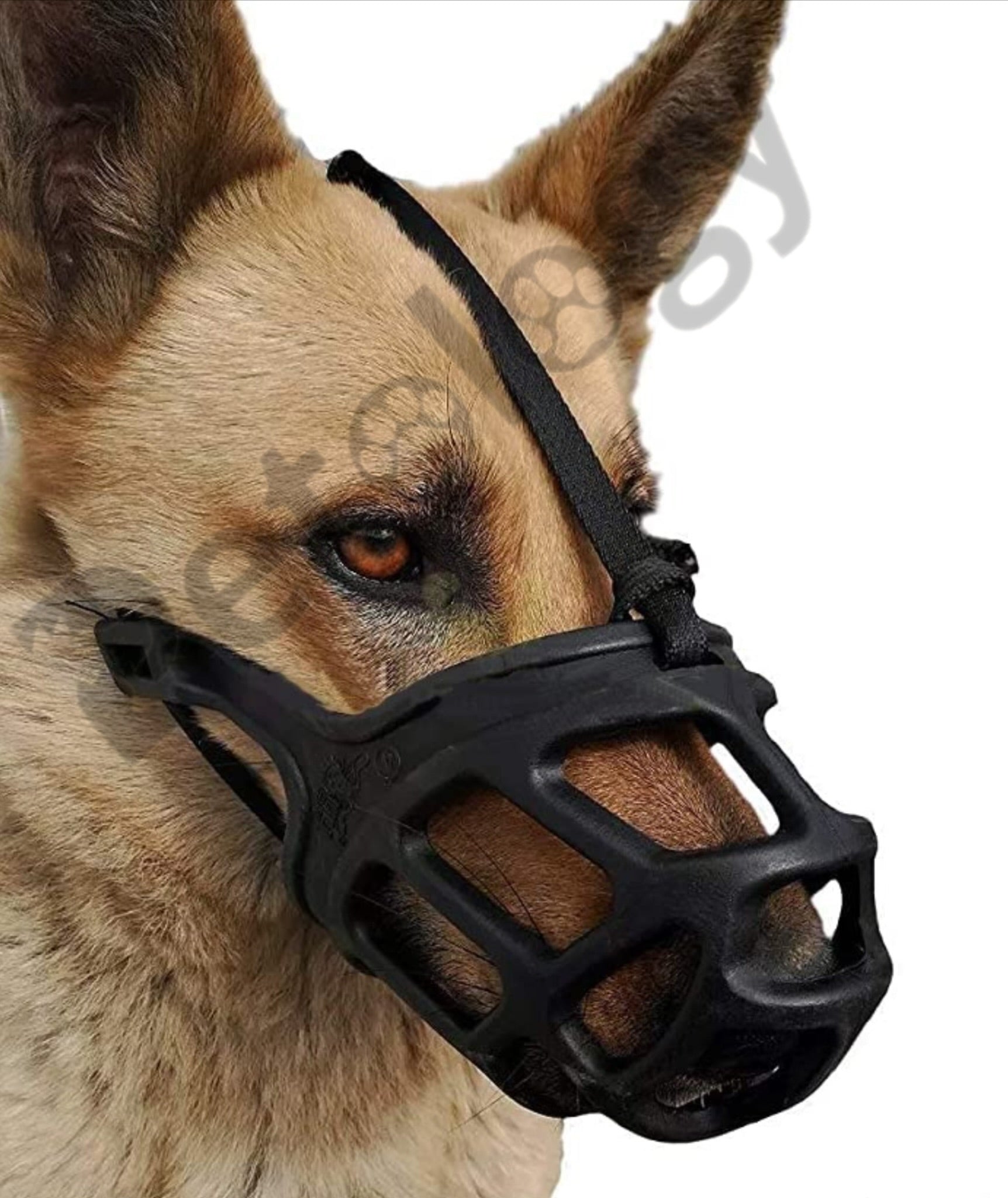 100% Silicon & extra soft Mouth Cover Muzzle Guard with Adjustable Strap Buckle Ideal for Stopping Biting, Barking & eating useless street waste, XLarge,large,Medium Dog & Puppy