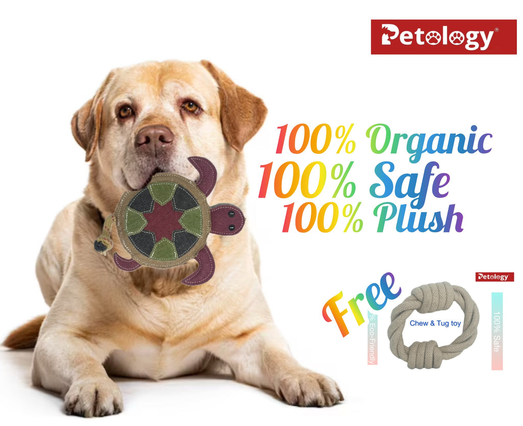 Petosafe buy 2 pay 1 100% Organic Jute Chew-tug Dog Toy Non-Toxic, Soft, Stuffed Interactive Cute Squeaky, Teething Rope Dog Toy  Small to Medium breed