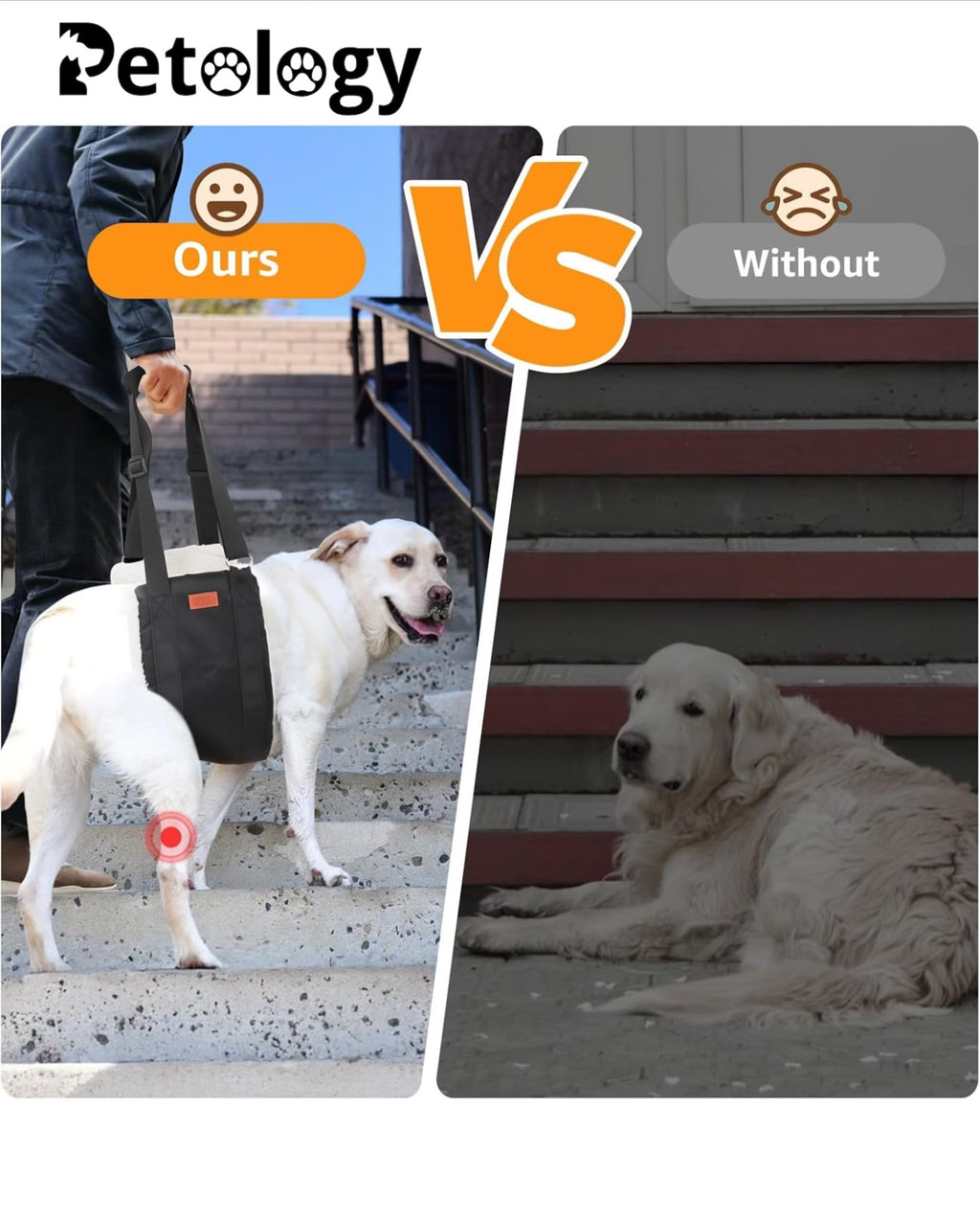 Petability Adjustable Dog Lift Harness ,Sling for Large Dogs Leg Support Soft Lift Support and Rehab Harness for Weak Rear Legs, Helps Senior, Injured, Disabled & After Surgery Dogs medium,large & xtra large breeds