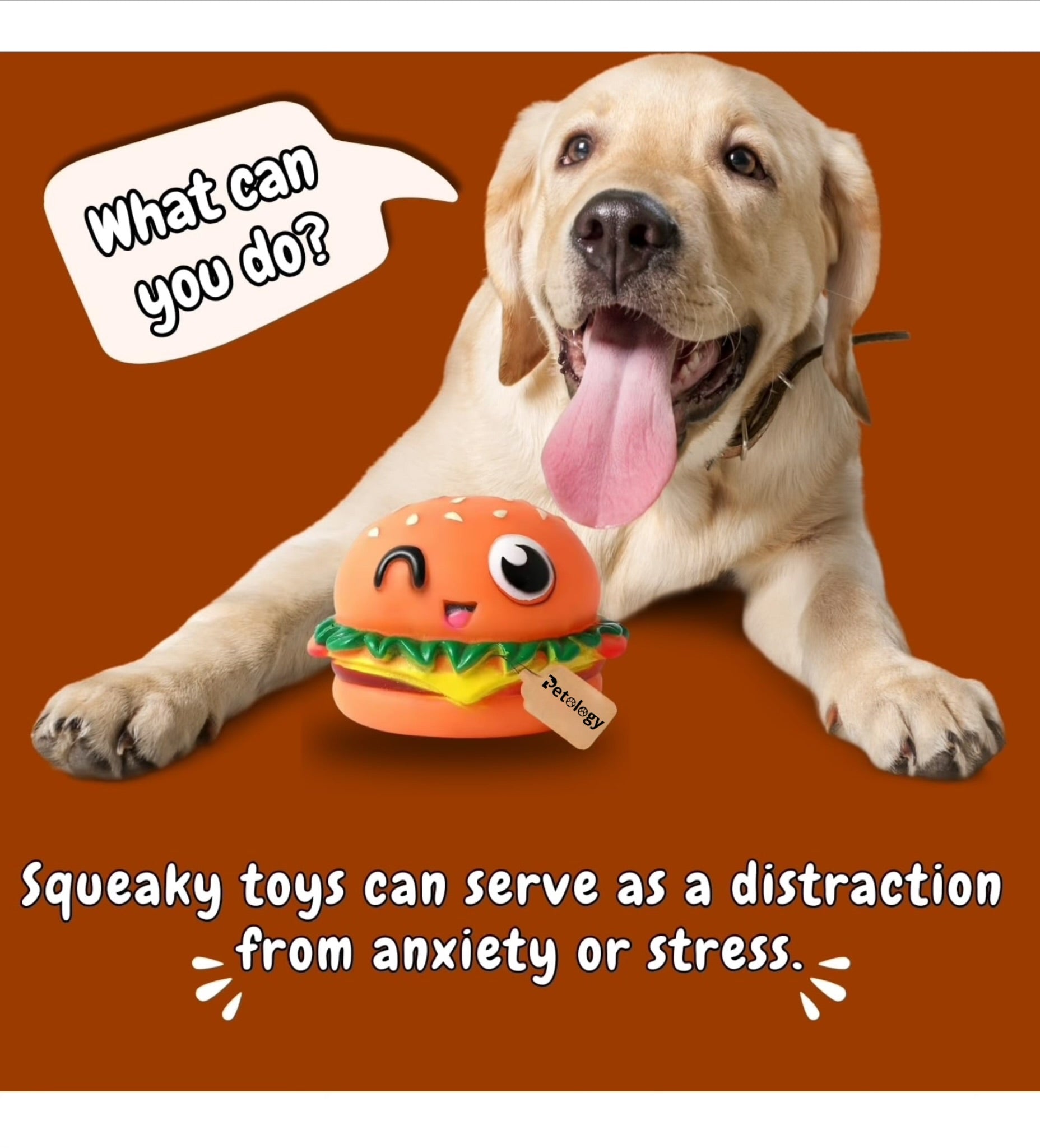 Playpets 100% Latex Burger Squeaky Durable & Interactive Chew Toy for Dogs & Cats ,Fun Squeaker , Solo Play all size Breeds , Dental Health