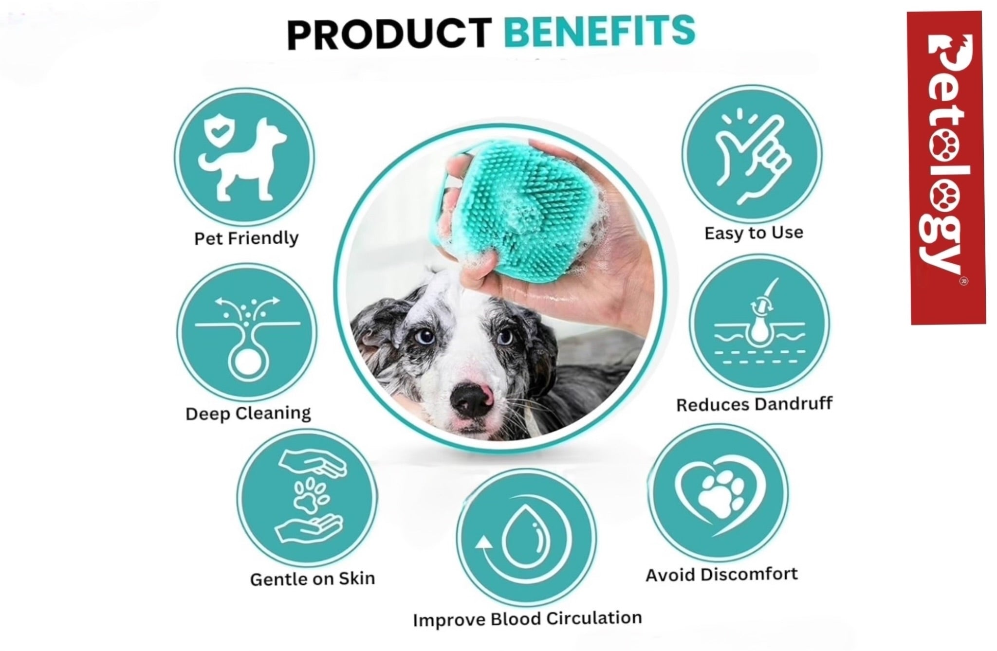 Meow Meow 3in1 professional grooming combo-small size crafted for Cats-kittens and all small breed pets which gives neat and smart look everyday.