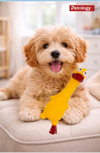 Penny Rubber Duck Squeaky Dog Toys for Small, Medium or Large Pet Breeds, Play Fetch, Reduce Separation Anxiety