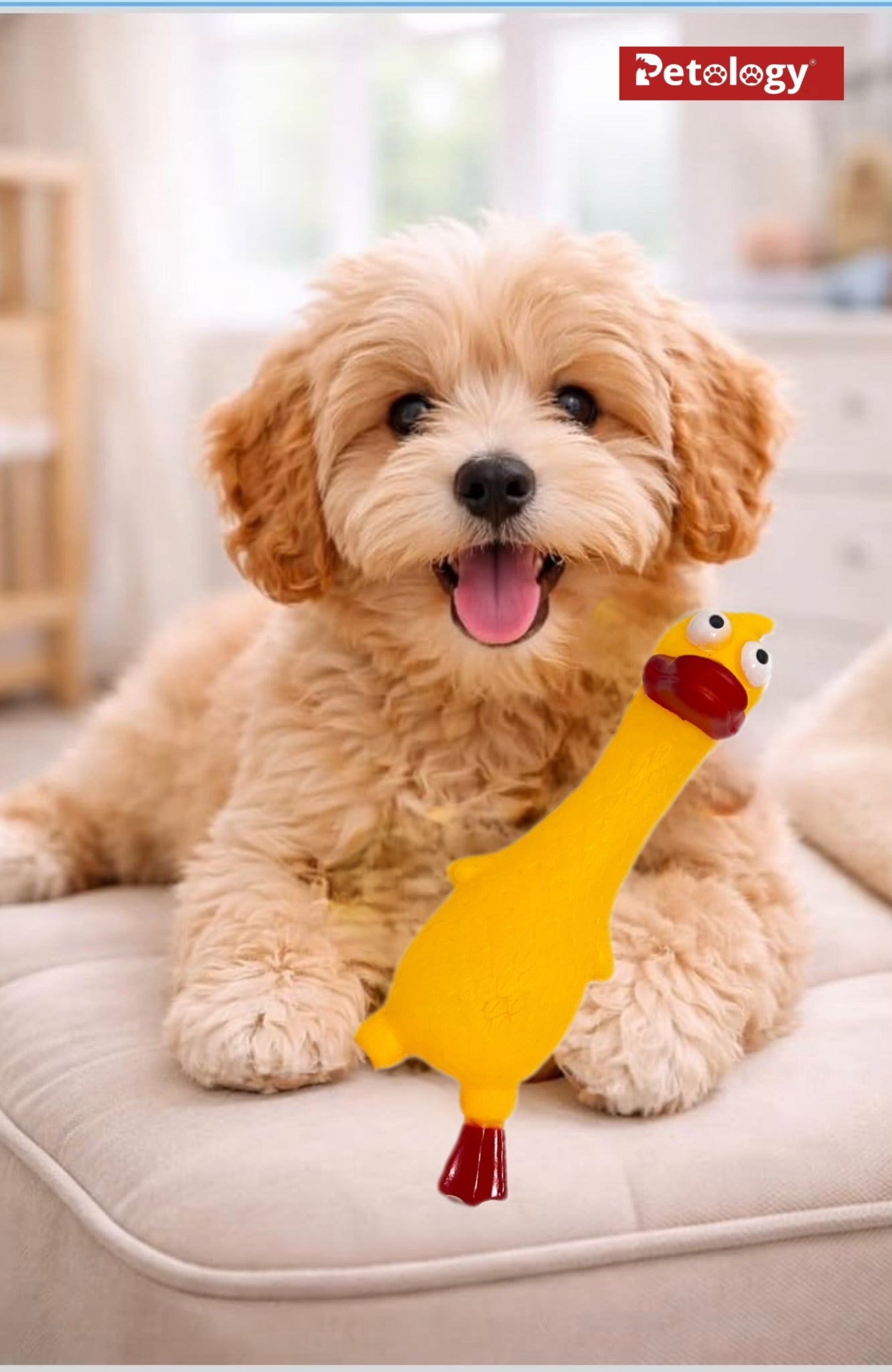 Penny Rubber Duck Squeaky Dog Toys for Small, Medium or Large Pet Breeds, Play Fetch, Reduce Separation Anxiety