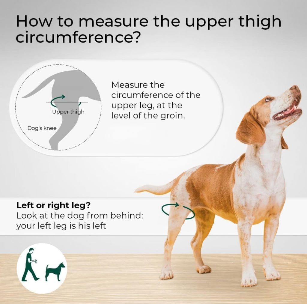 Petability Knee Brace for Dogs with Side Stabilizers, Knee Cap Dislocation, post operative , Arthritis - Keeps The Joint Warm and Stable - Extra Support - Reduces Pain and Inflammation (Suitable medium,Large & Extra-Large Breeds) 1 piece