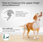 Petability Knee Brace for Dogs with Side Stabilizers, Knee Cap Dislocation, post operative , Arthritis - Keeps The Joint Warm and Stable - Extra Support - Reduces Pain and Inflammation (Suitable medium,Large & Extra-Large Breeds) 1 piece