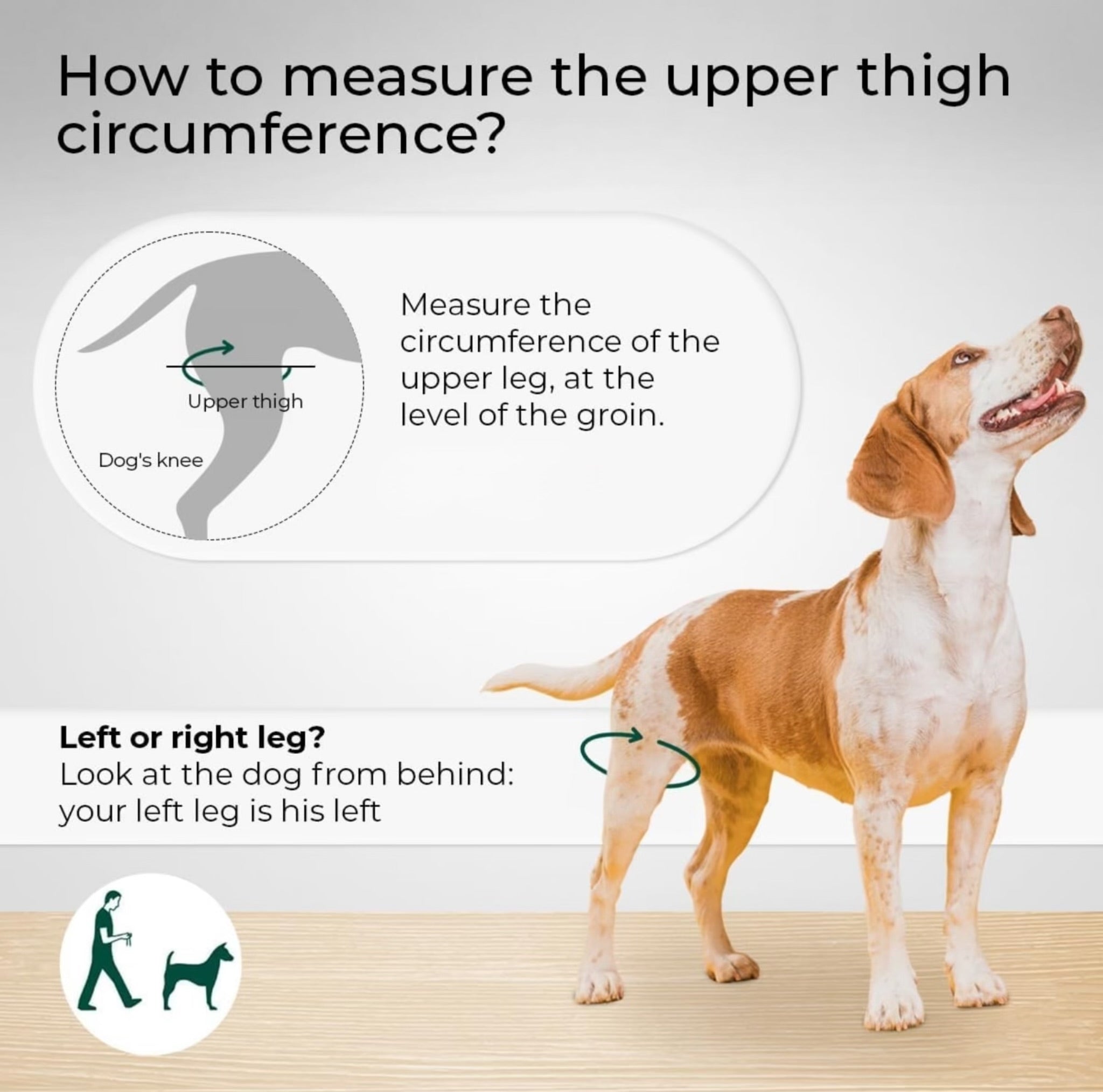 Petability Knee Brace for Dogs with Side Stabilizers, Knee Cap Dislocation, post operative , Arthritis - Keeps The Joint Warm and Stable - Extra Support - Reduces Pain and Inflammation (Suitable medium,Large & Extra-Large Breeds) 1 piece