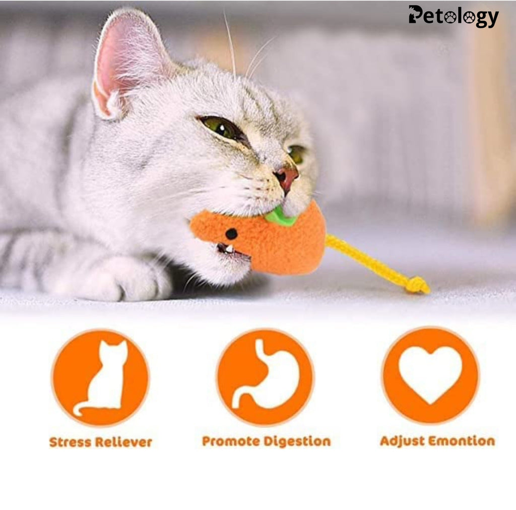 MEOW MEOW Fun Plush Cat Hunting Mouse Toys, Bite Proof , Interactive Mice Plush, Kitten Playing Rat, Soft Mouse , Kittens - 3Pcs (Color May Vary)