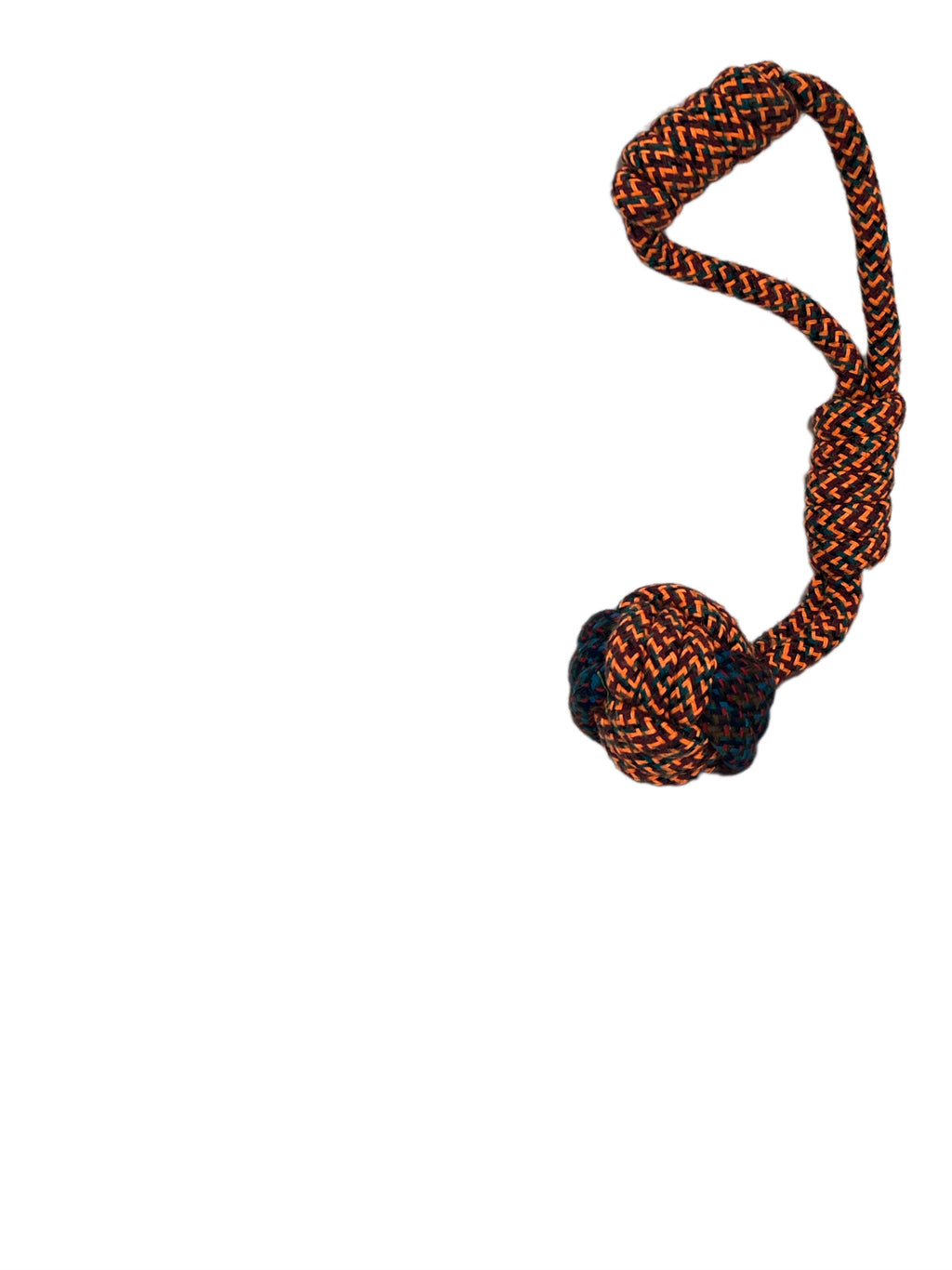 GIFT 1 EVERYDAY and give your furry dear to you and make them feel so special today or daily.