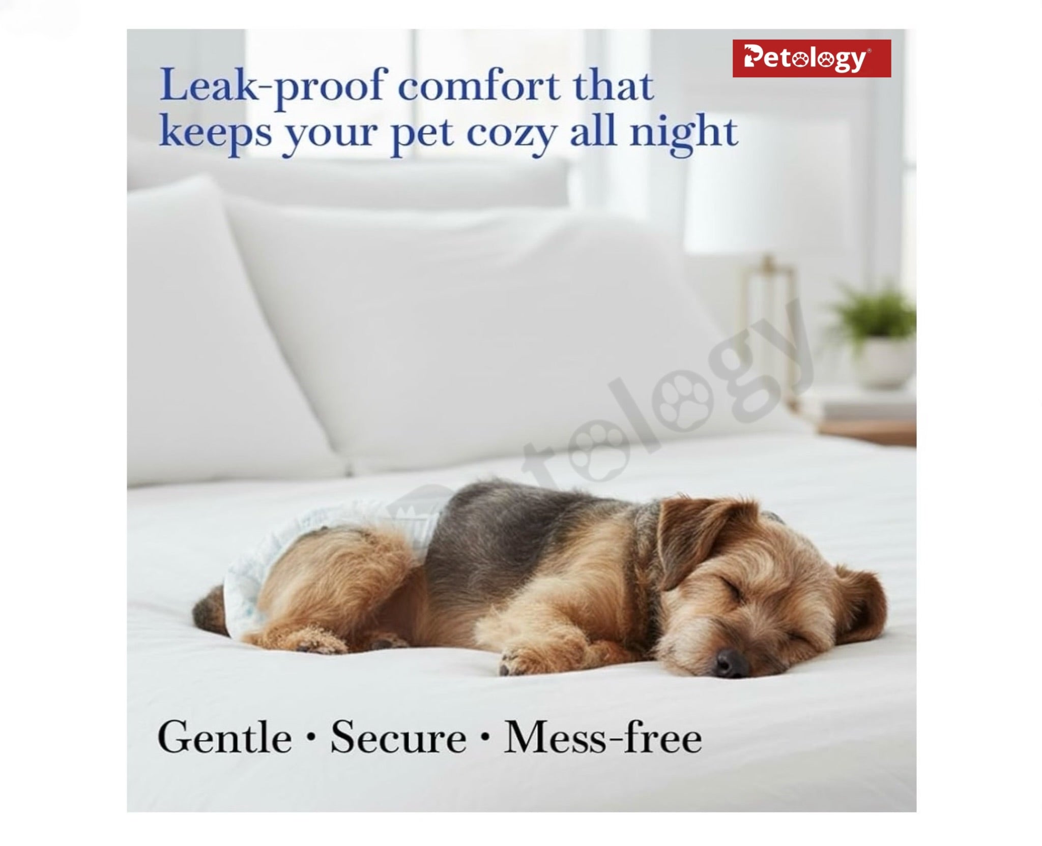 Petability Dogs Disposable Diapers for Dog -10Pcs Diaper Pants Nappy Leak-Proof, Ultra-Absorbent Daily and Travelling Purpose size available small,medium,Large & Xtra-Large