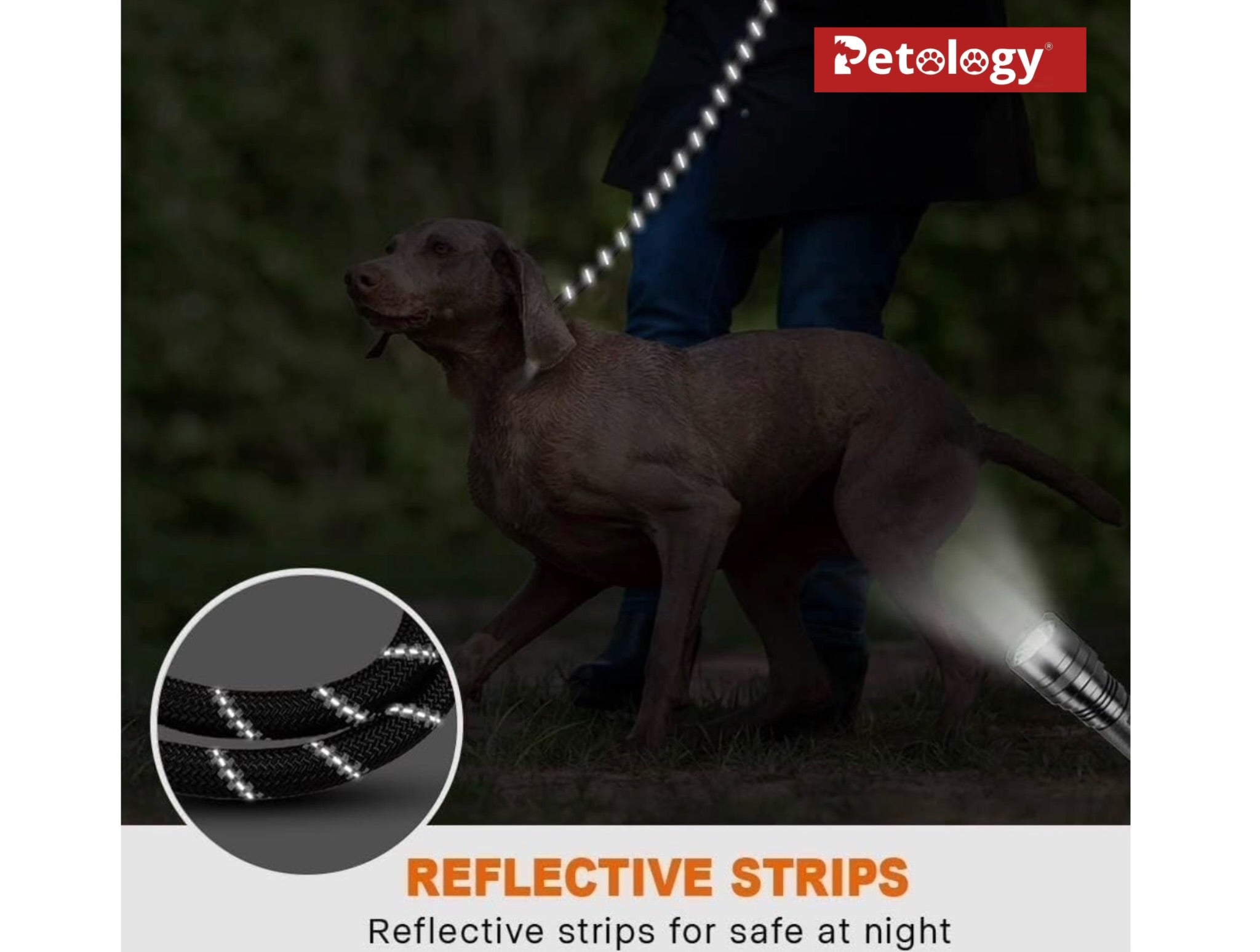 Petology Heavy Duty Nylon Dog Leash Anti Slip Padded Handle Long Highly Reflective Dog Rope for Medium & Large Dogs Training Leash (Black, 5 & 6.5 Feet Long)