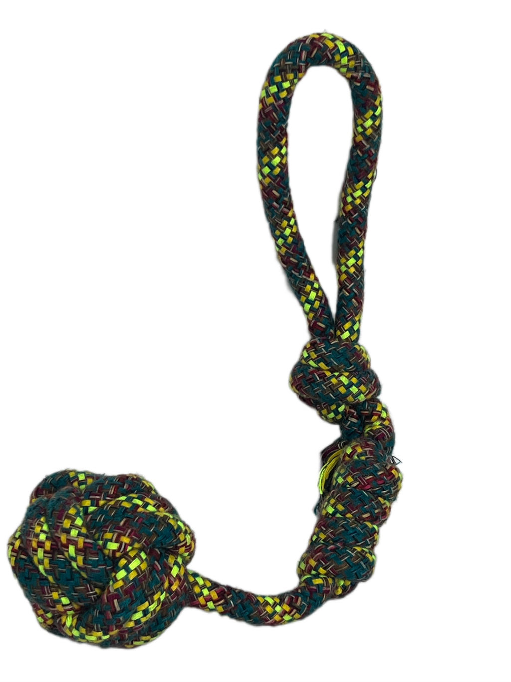 GIFT 1 EVERYDAY and give your furry dear to you and make them feel so special today or daily.