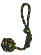 GIFT 1 EVERYDAY and give your furry dear to you and make them feel so special today or daily.