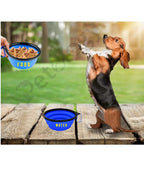 HI-health Travel made easy 2 pcs food & water Collapsible silicone Dog Bowl, Foldable Expandable Cup Dish for Food- Water Feeding Portable Travel Bowl, Free Pet ID-Tag
