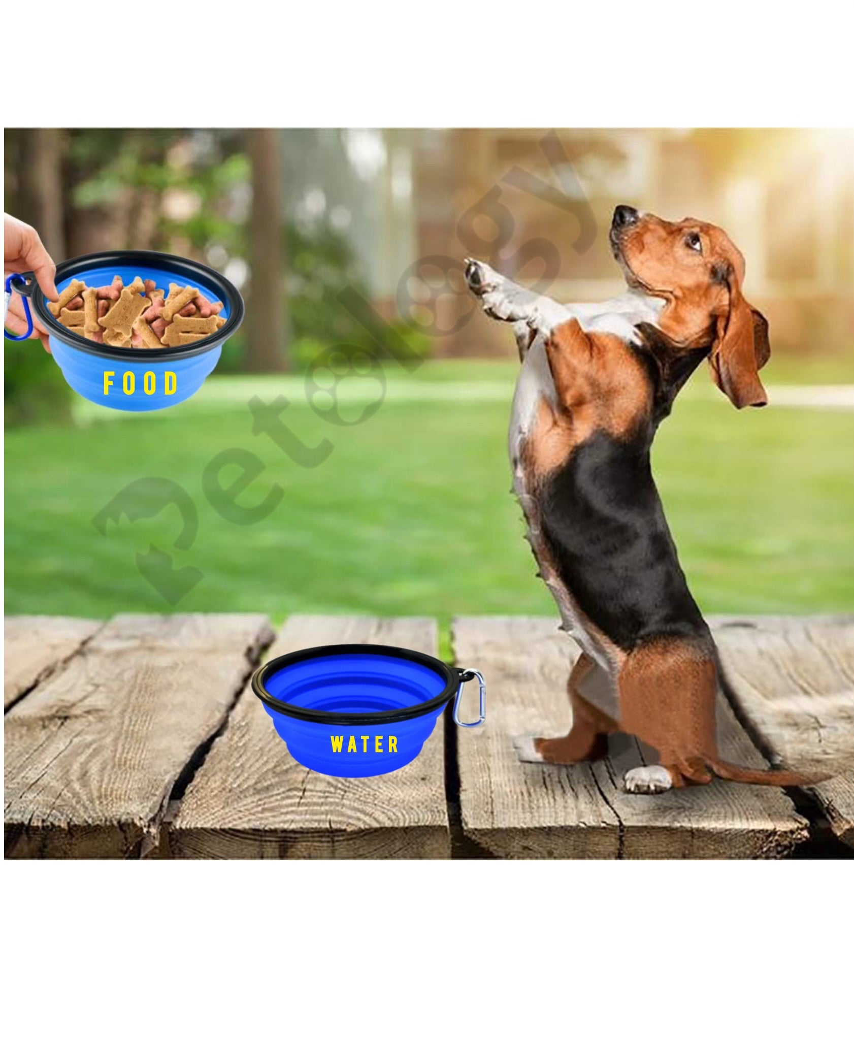 HI-health Travel made easy 2 pcs food & water Collapsible silicone Dog Bowl, Foldable Expandable Cup Dish for Food- Water Feeding Portable Travel Bowl, Free Pet ID-Tag